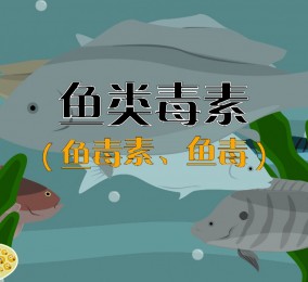 食品有意思：秒懂魚(yú)類毒素